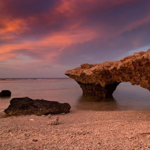 Meet your Posher, Juliette